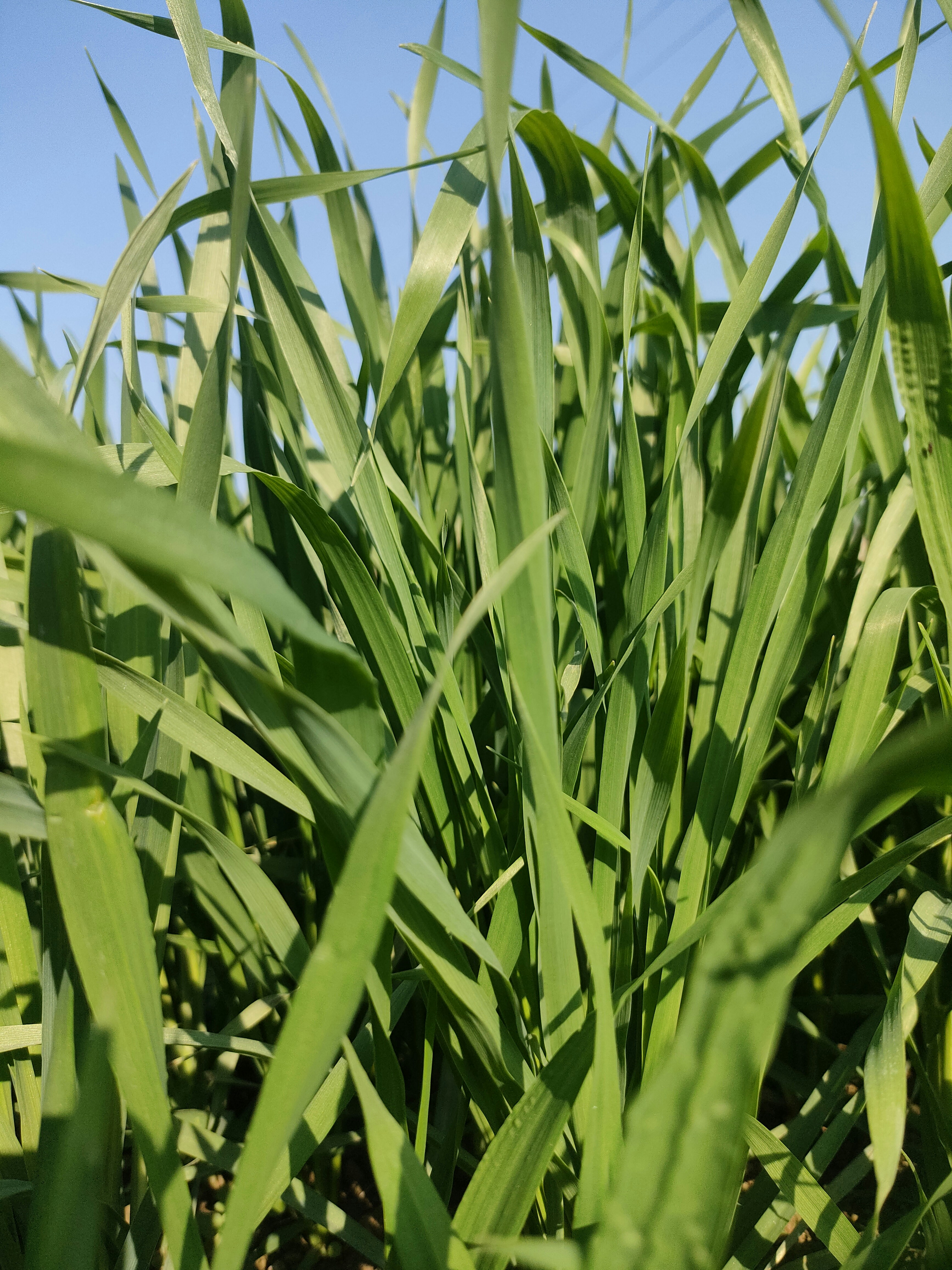 Photo by thedesignerpk