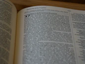 Close-up of an open Bible with sunlight shining on the pages during a church service.
