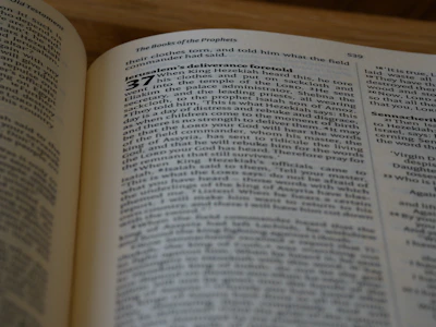 A close-up of an open Bible with gentle light illuminating the pages.
