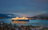 A large cruise ship is sailing on calm waters with a backdrop of misty hills and a peaceful waterfront. The ship is prominently marked with 'Color Line Cruises'. The foreground includes houses, trees, and a marina with small boats.