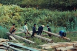 Several people are engaged in manual labor, moving large wooden logs in a grassy, rural area with lush greenery surrounding them. The individuals are wearing casual clothing, including hats.