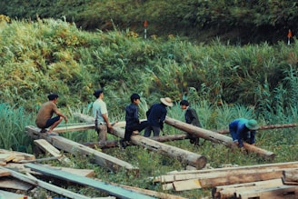 Several people are engaged in manual labor, moving large wooden logs in a grassy, rural area with lush greenery surrounding them. The individuals are wearing casual clothing, including hats.