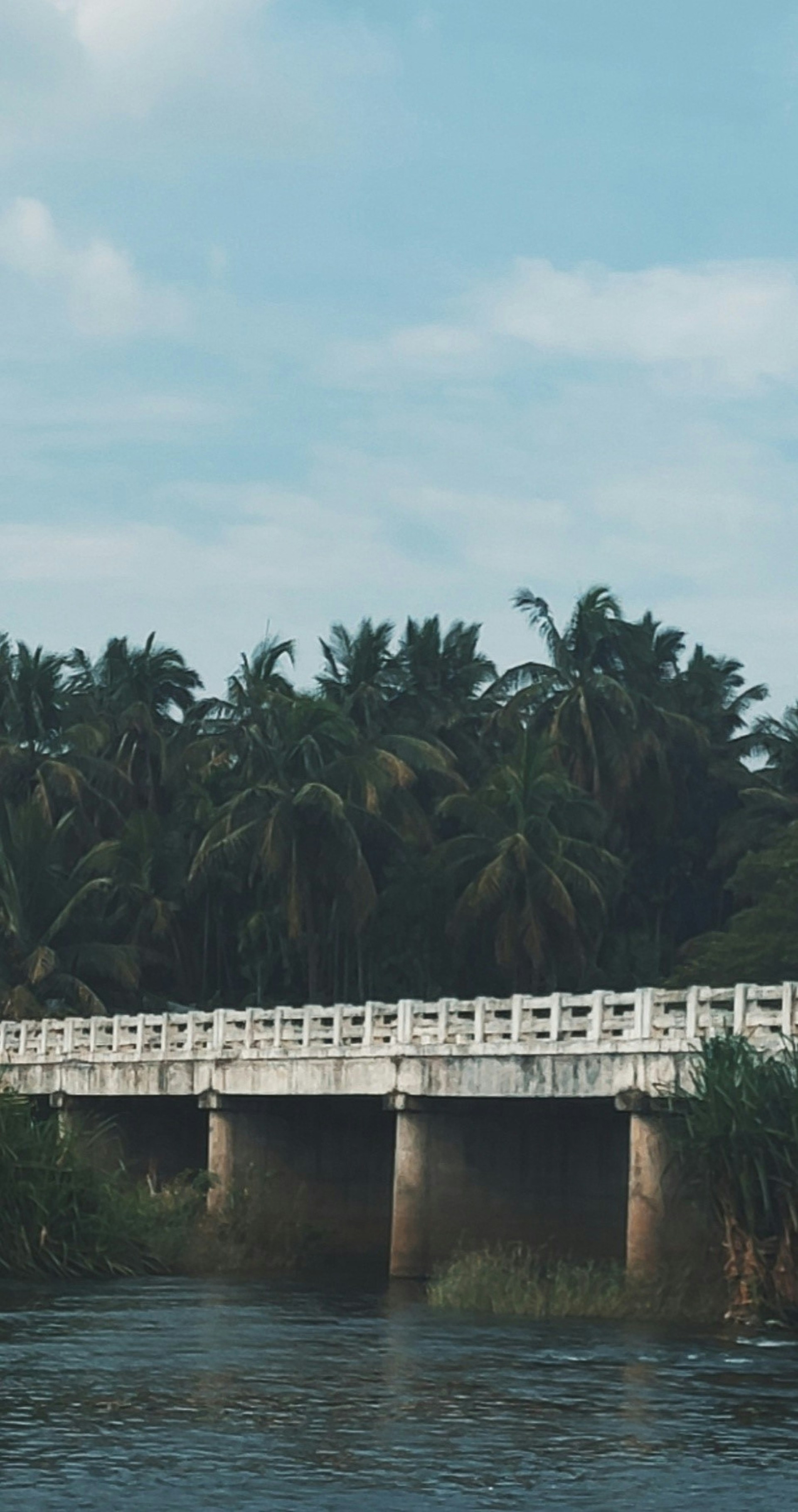 gray computer monitor