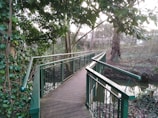 A wooden walkway with green metal railings winds through a natural setting surrounded by lush vegetation. The path extends over a small stream, and the area is densely populated with large leafy trees and shrubs, creating a canopy overhead.