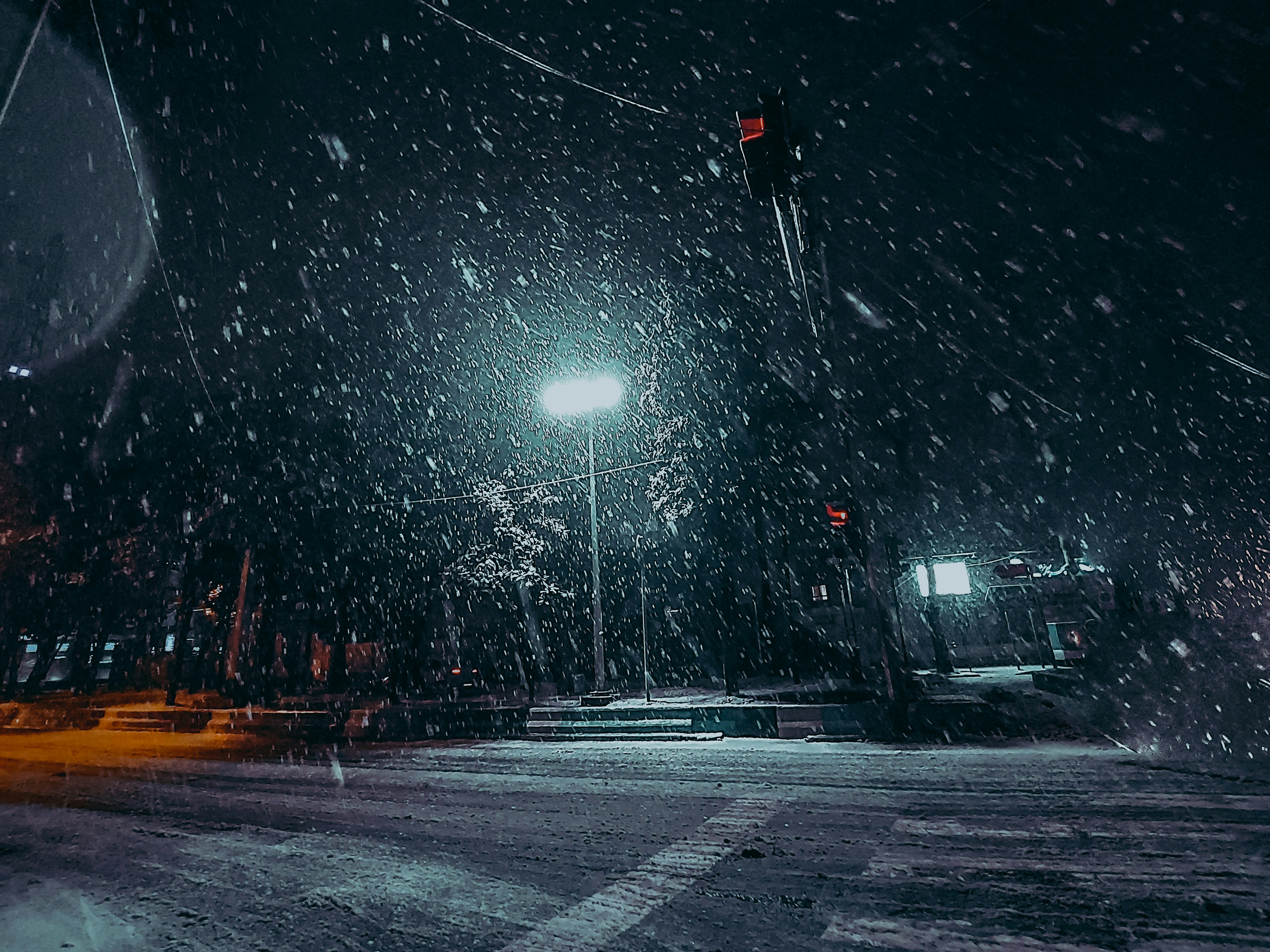 Photo by amirhosseinsabet