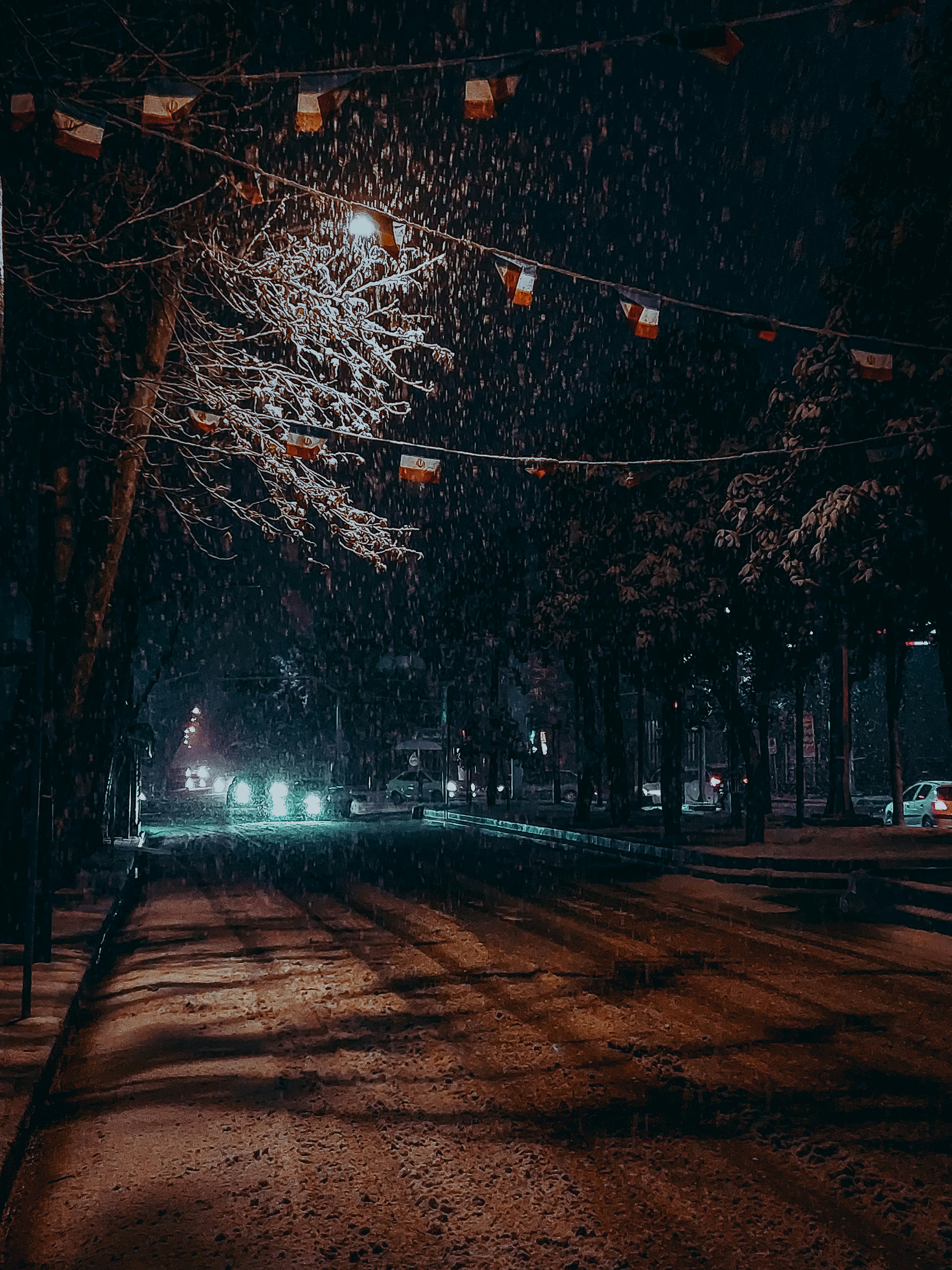 Photo by amirhosseinsabet