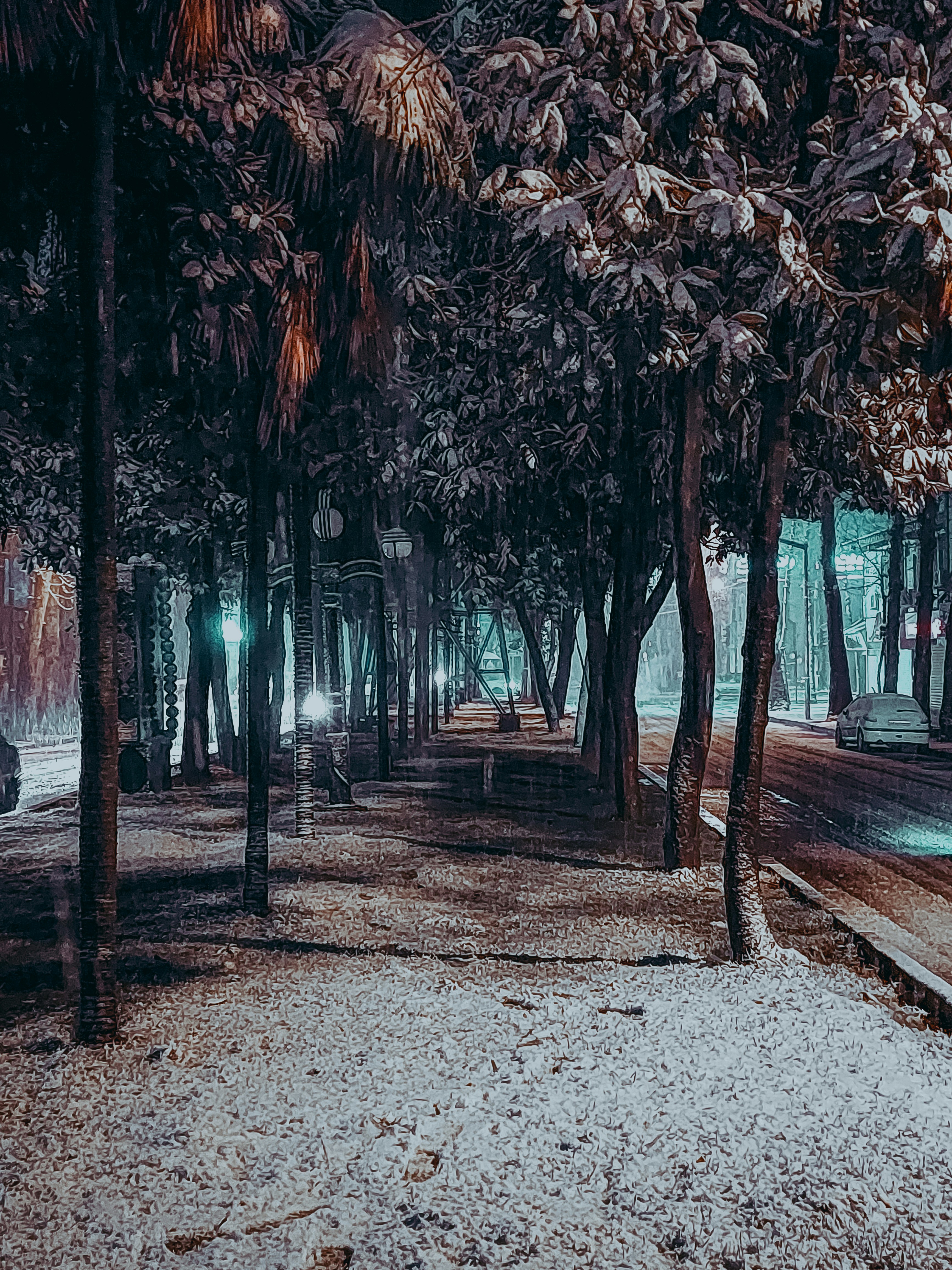 Photo by amirhosseinsabet