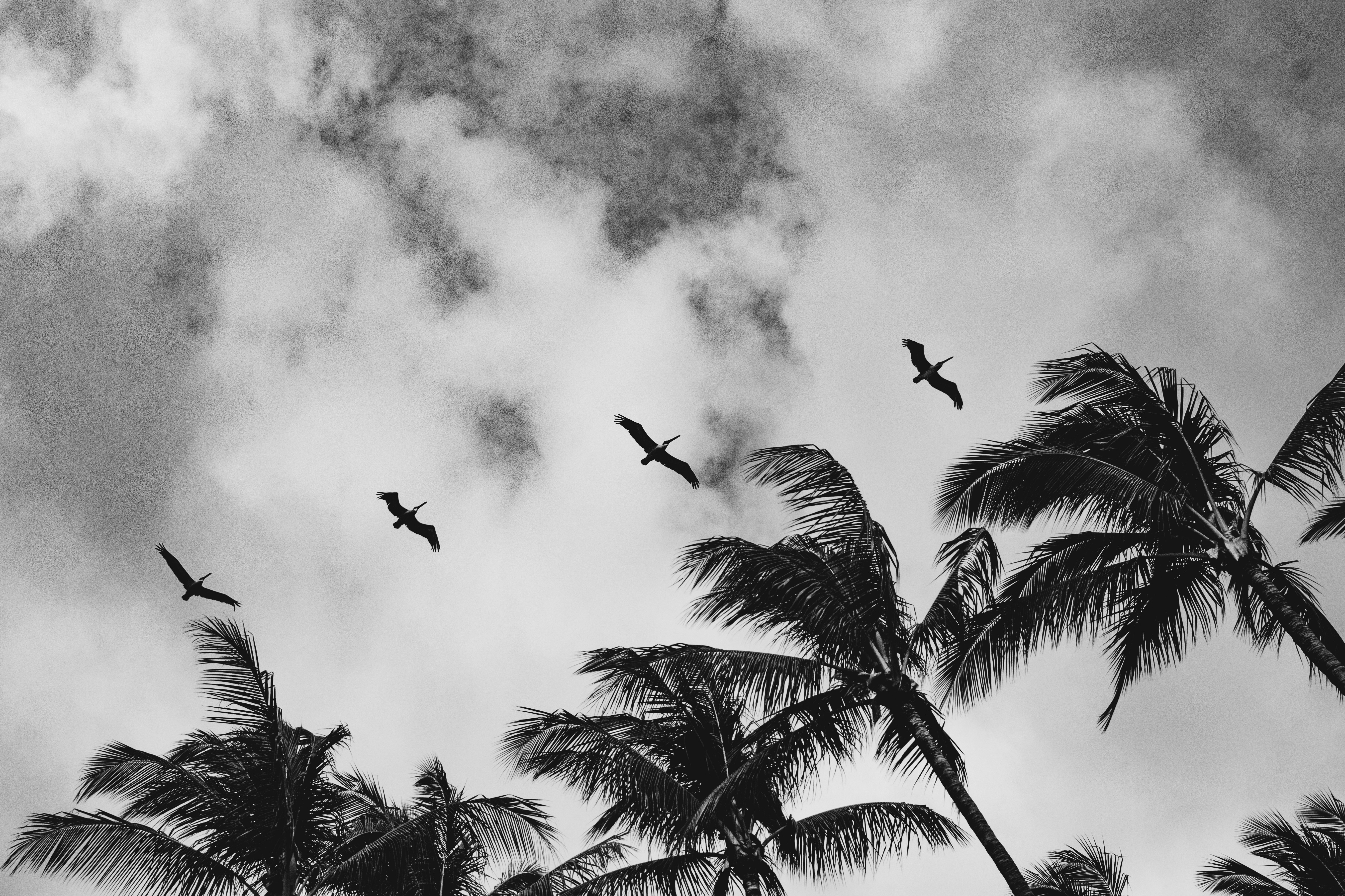 Photo by keepxploring