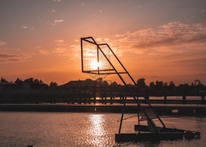 Official Basketball