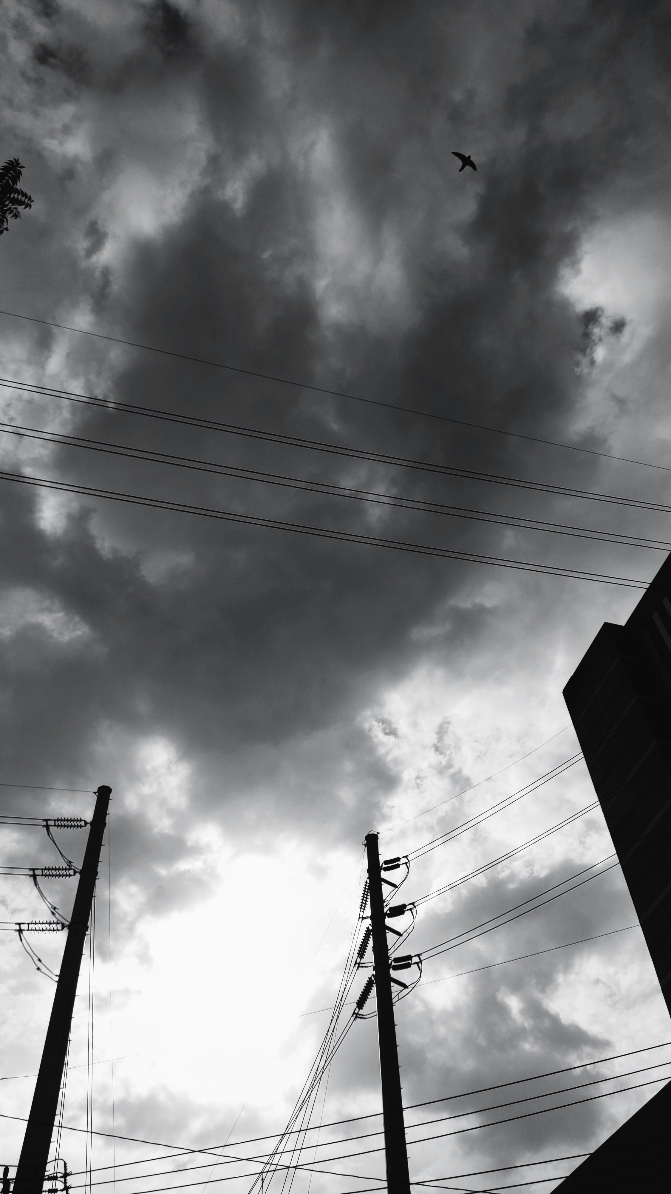 Photo by jl_merilles