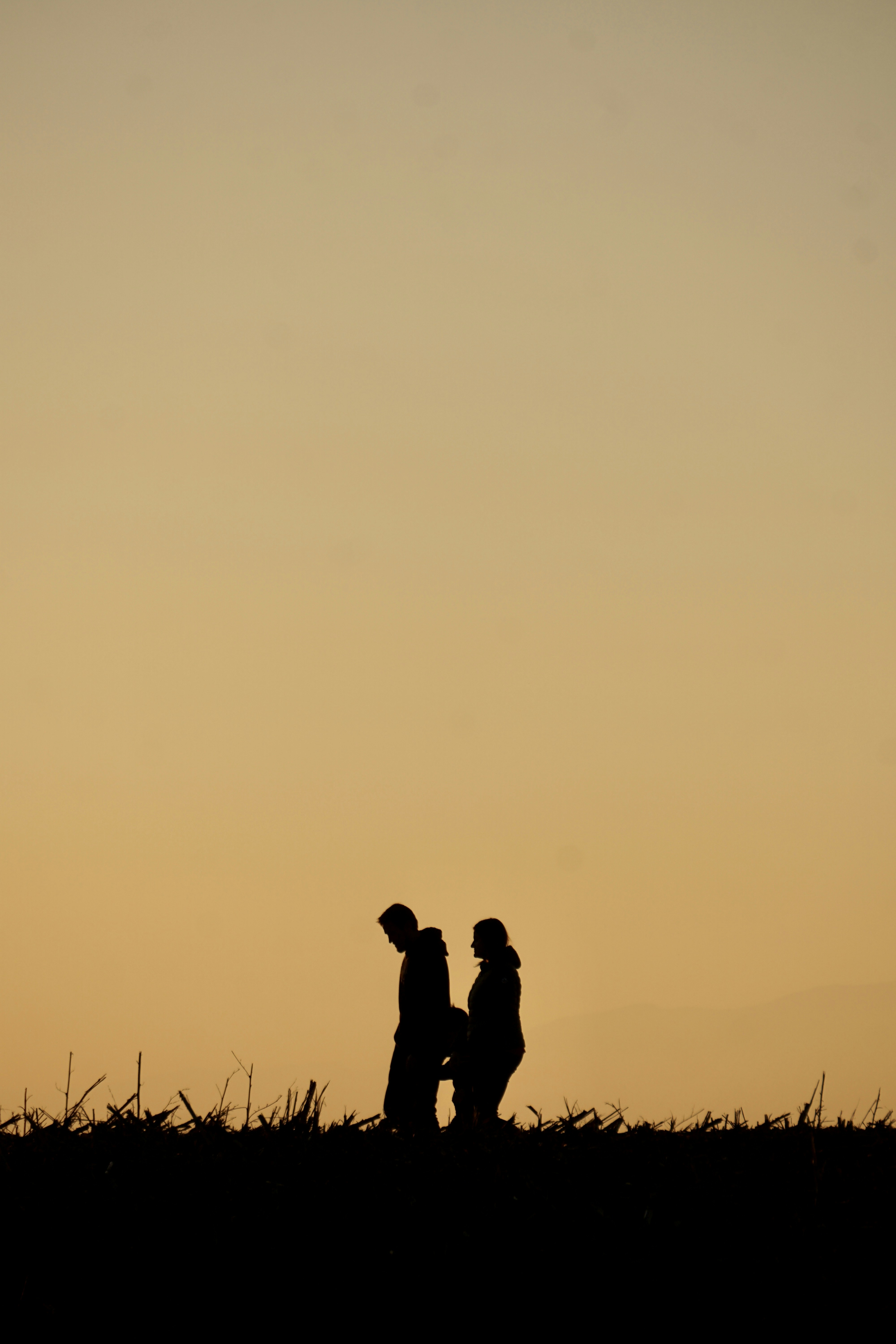 Couple walking away into Vermont sunset meadow, silhouette