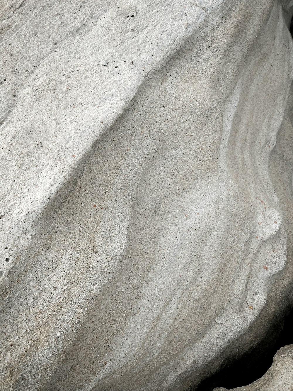 a close up of a rock with a bird perched on it