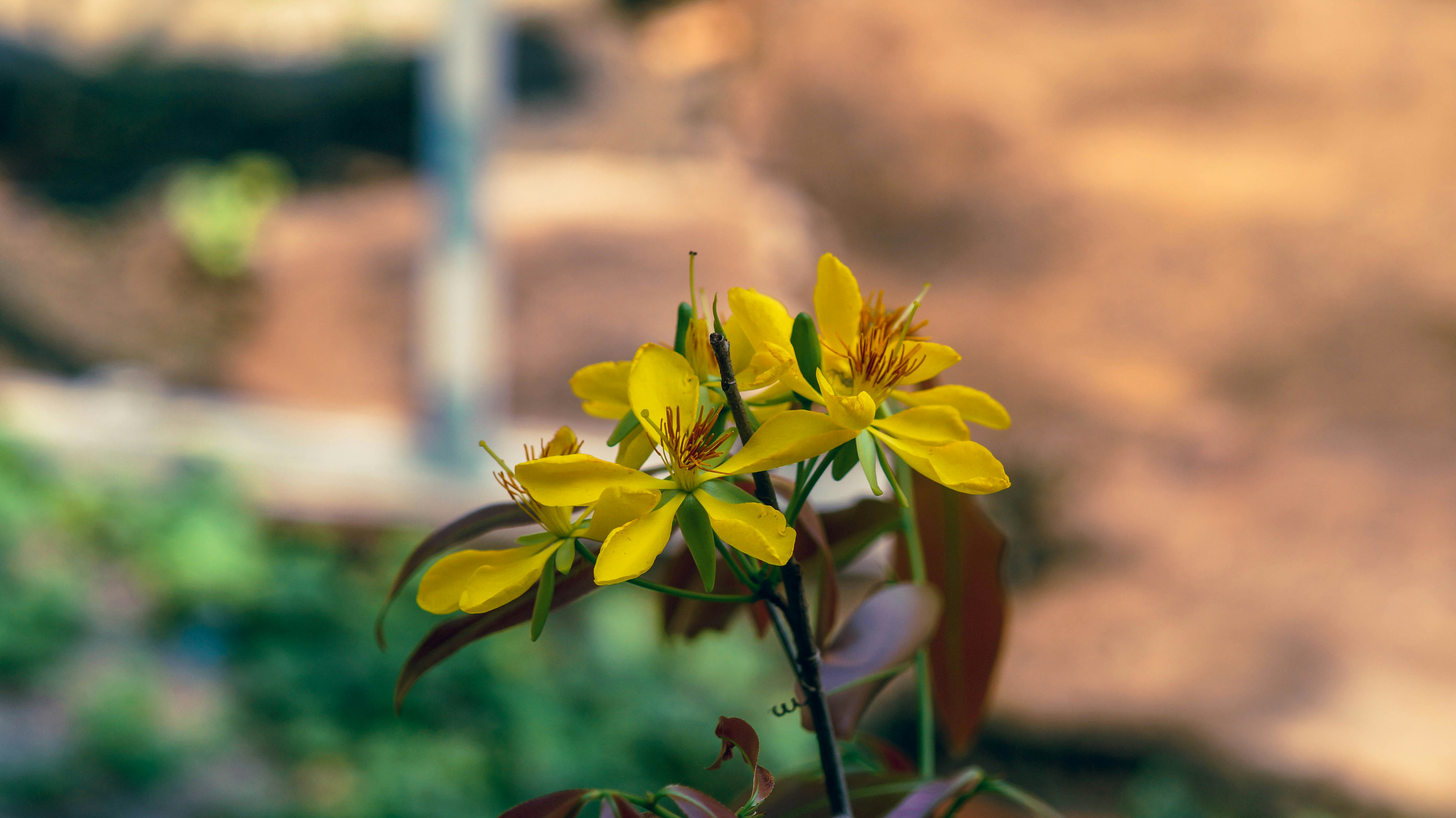 Photo by vietph34