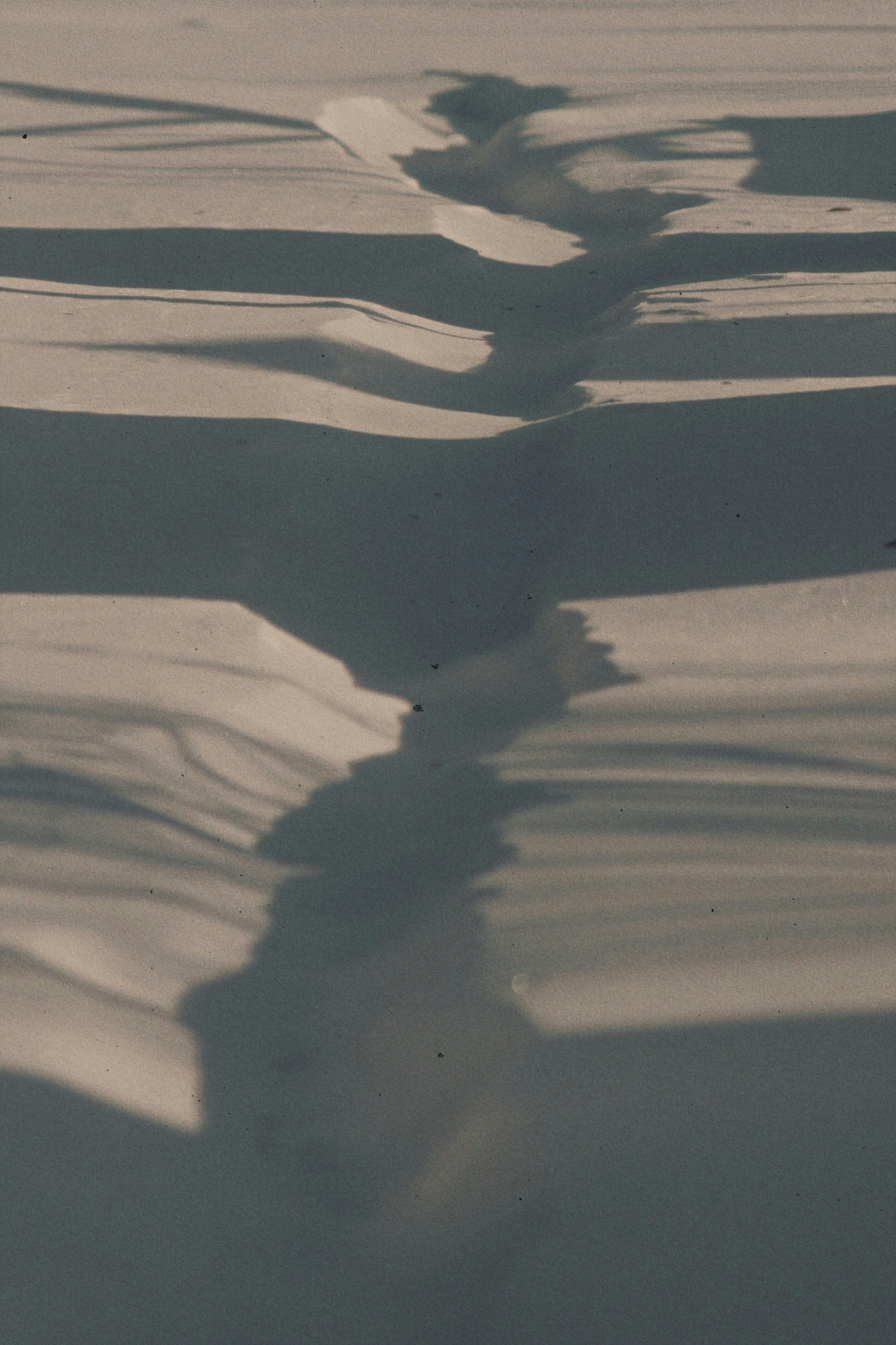 Photo by sesambrotchen