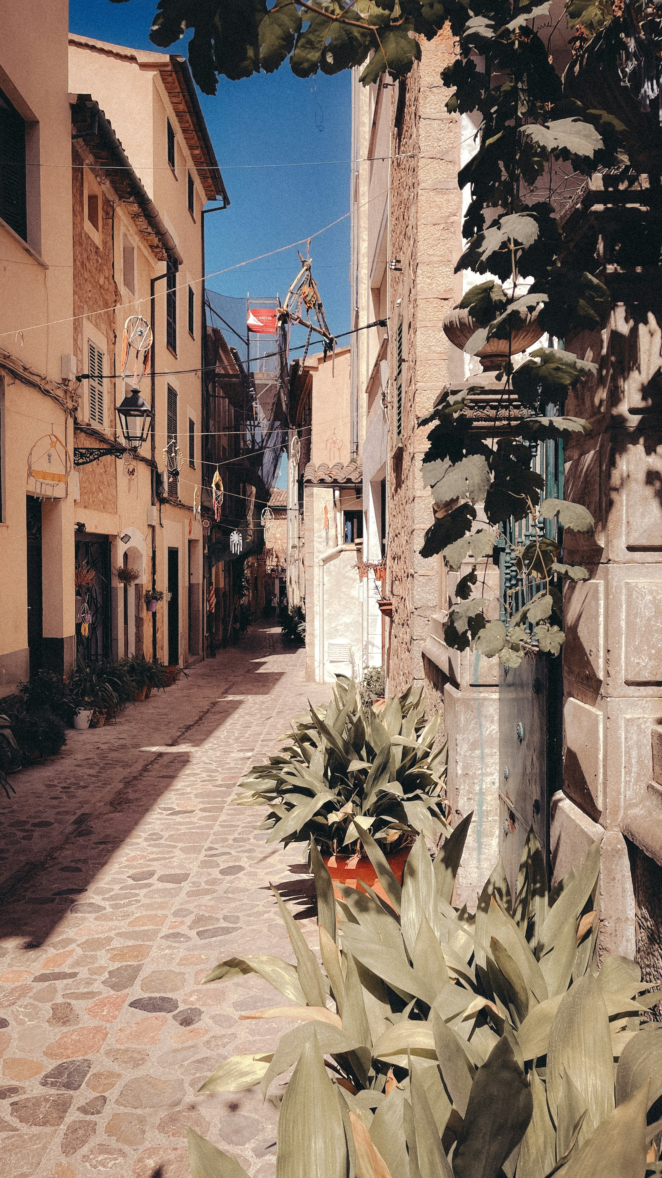 a narrow street lined with buildings and plants