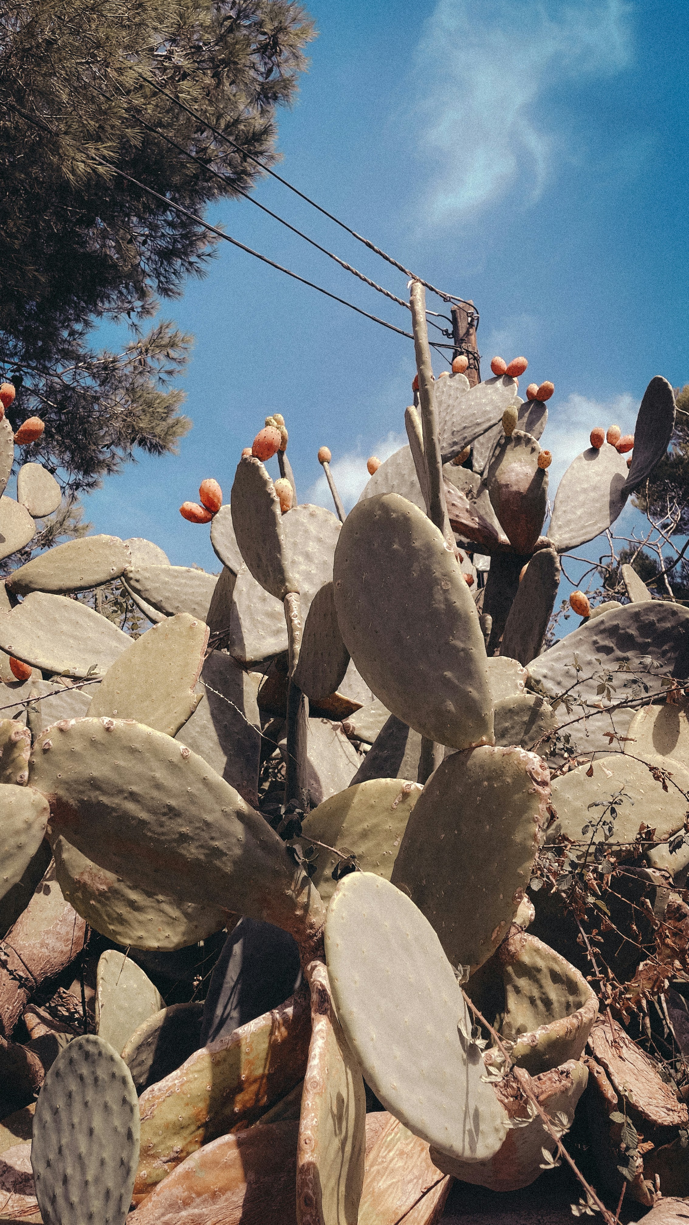Photo by ptrckschrdtr