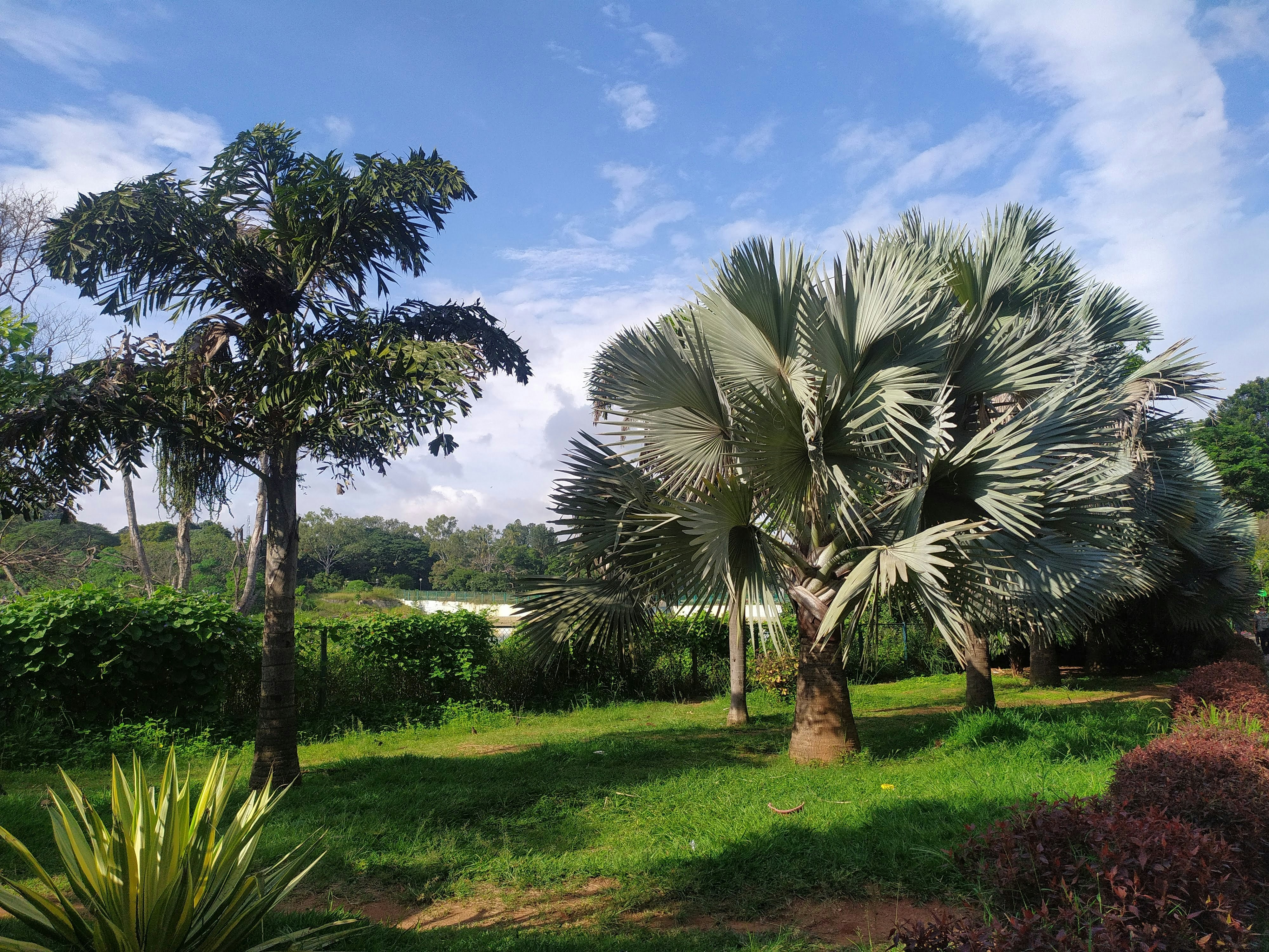 कब्बन पार्क