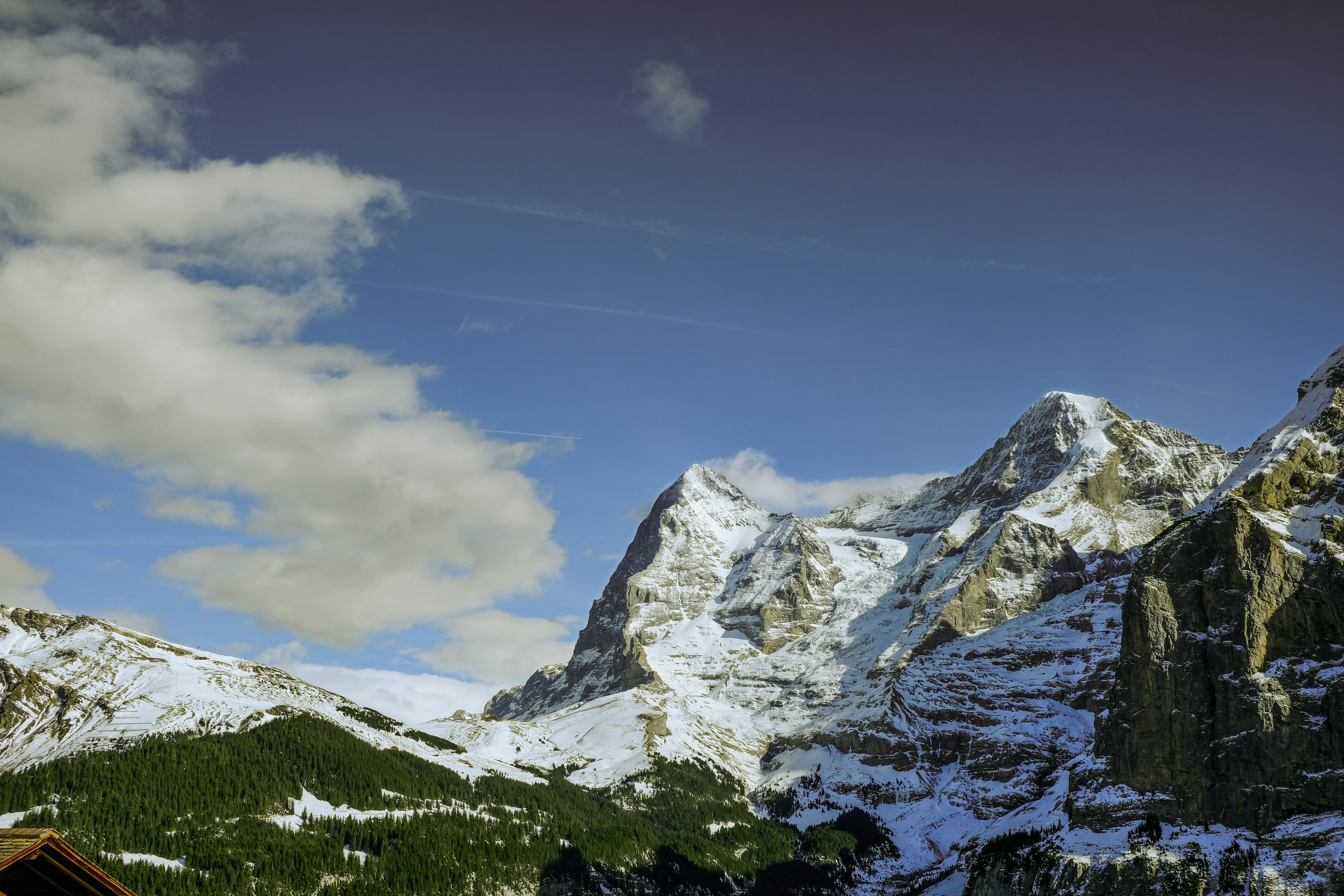 Photo by shanewester