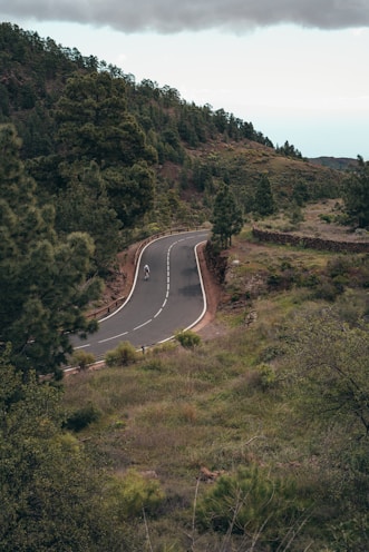 a winding road in the middle of a lush green hillside