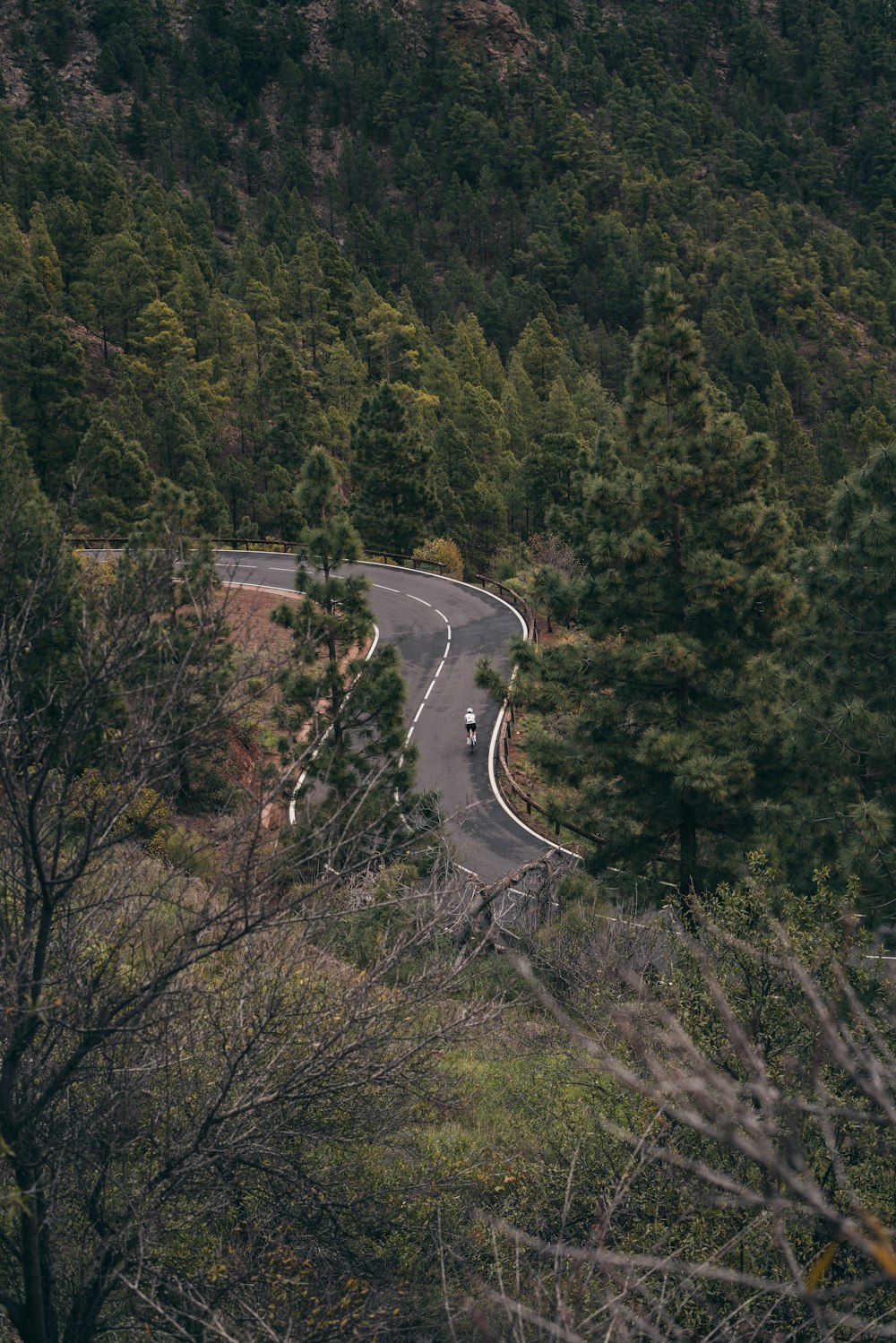 a car driving down a winding road surrounded by trees