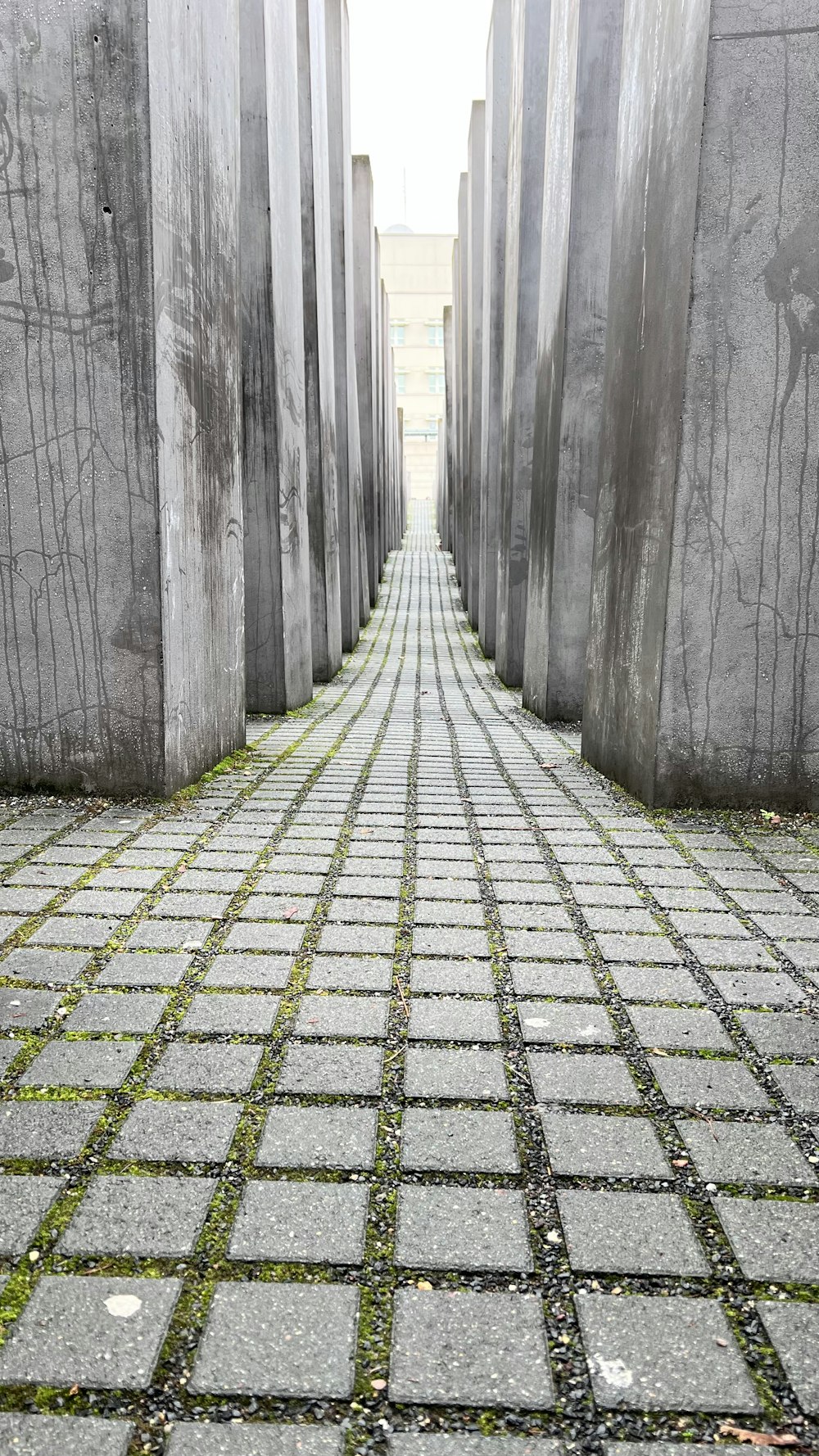 a stone walkway with moss growing on it