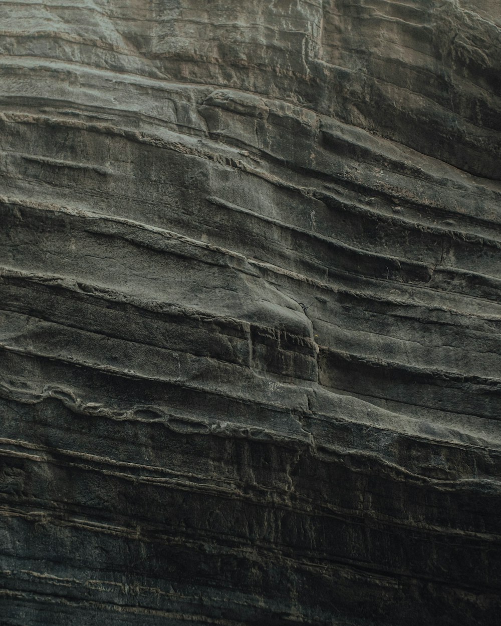 a bird is perched on the edge of a cliff