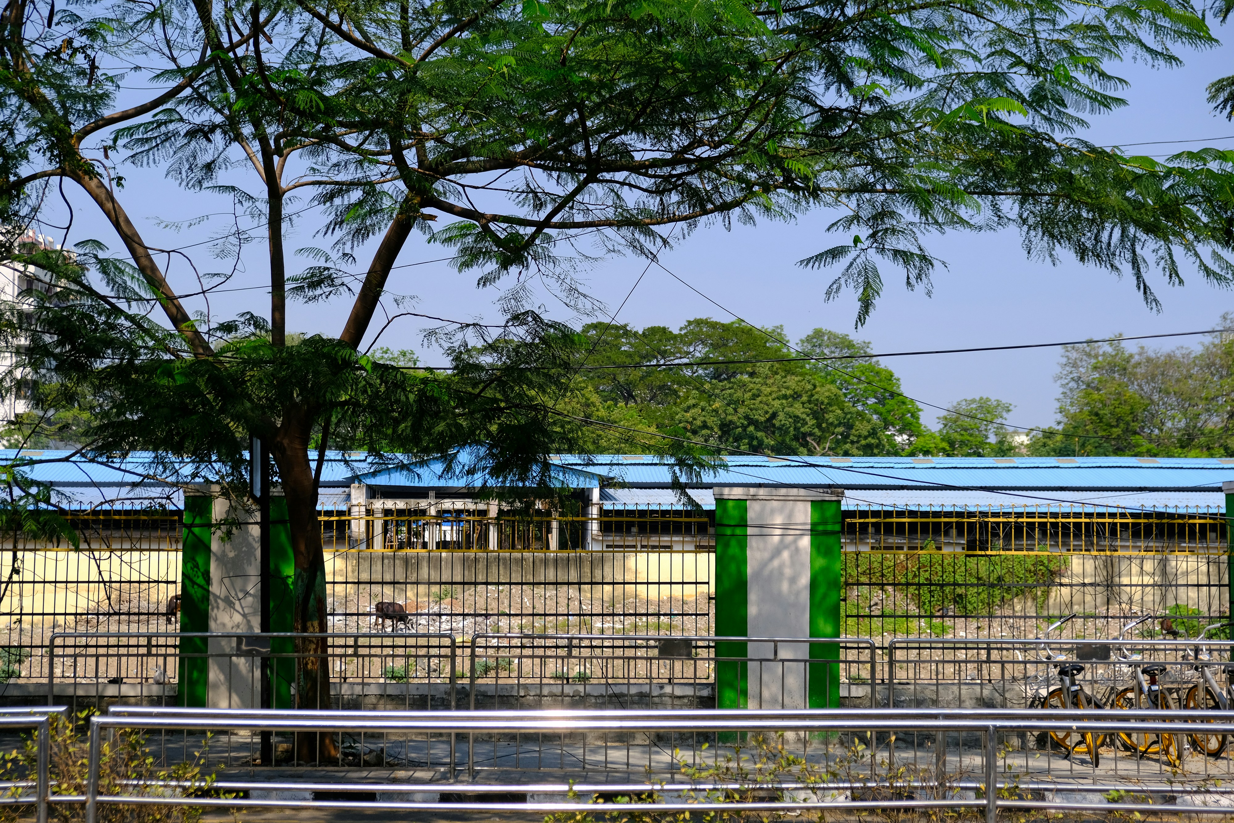 a fenced in area with benches and trees
