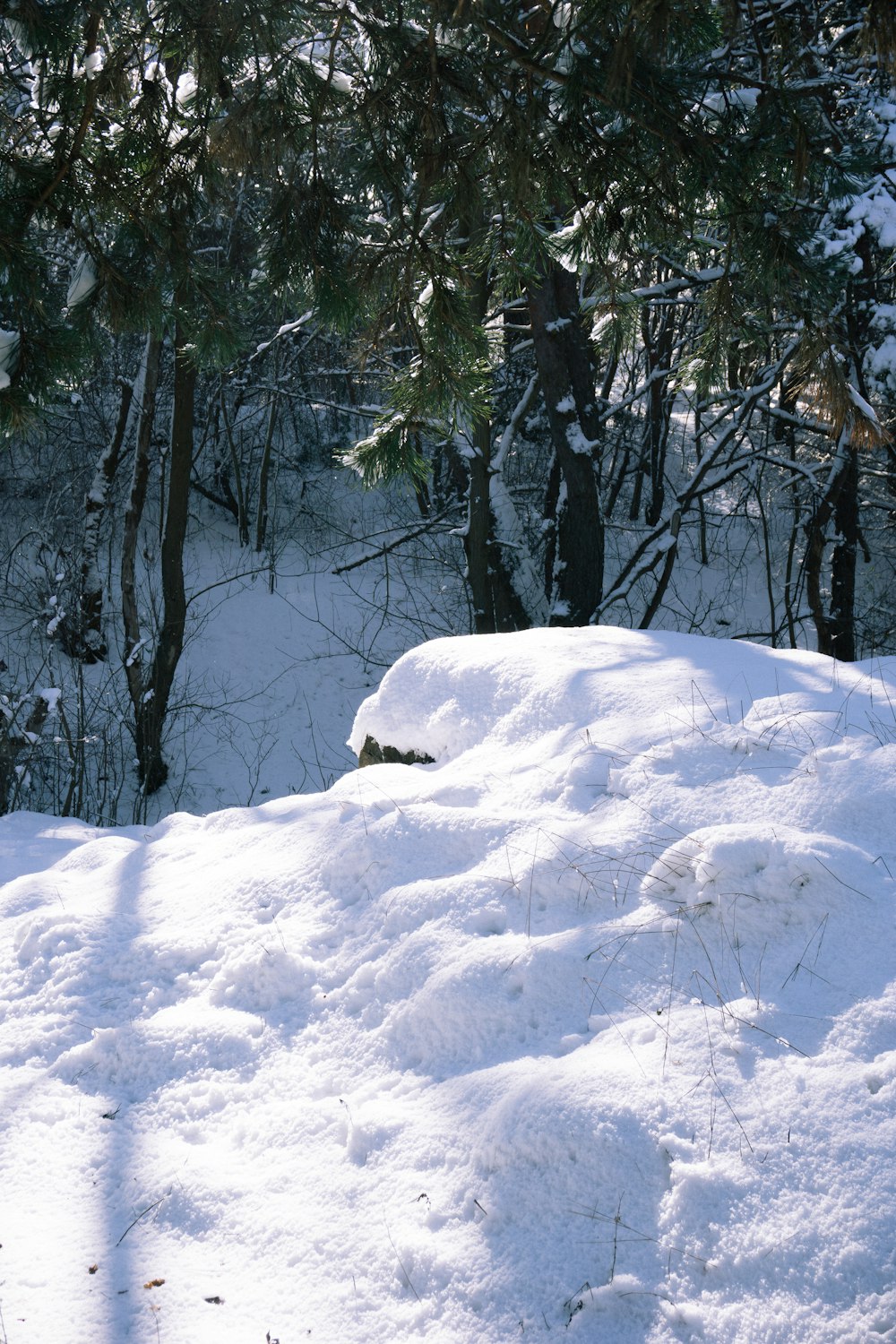 a man riding skis down a snow covered slope