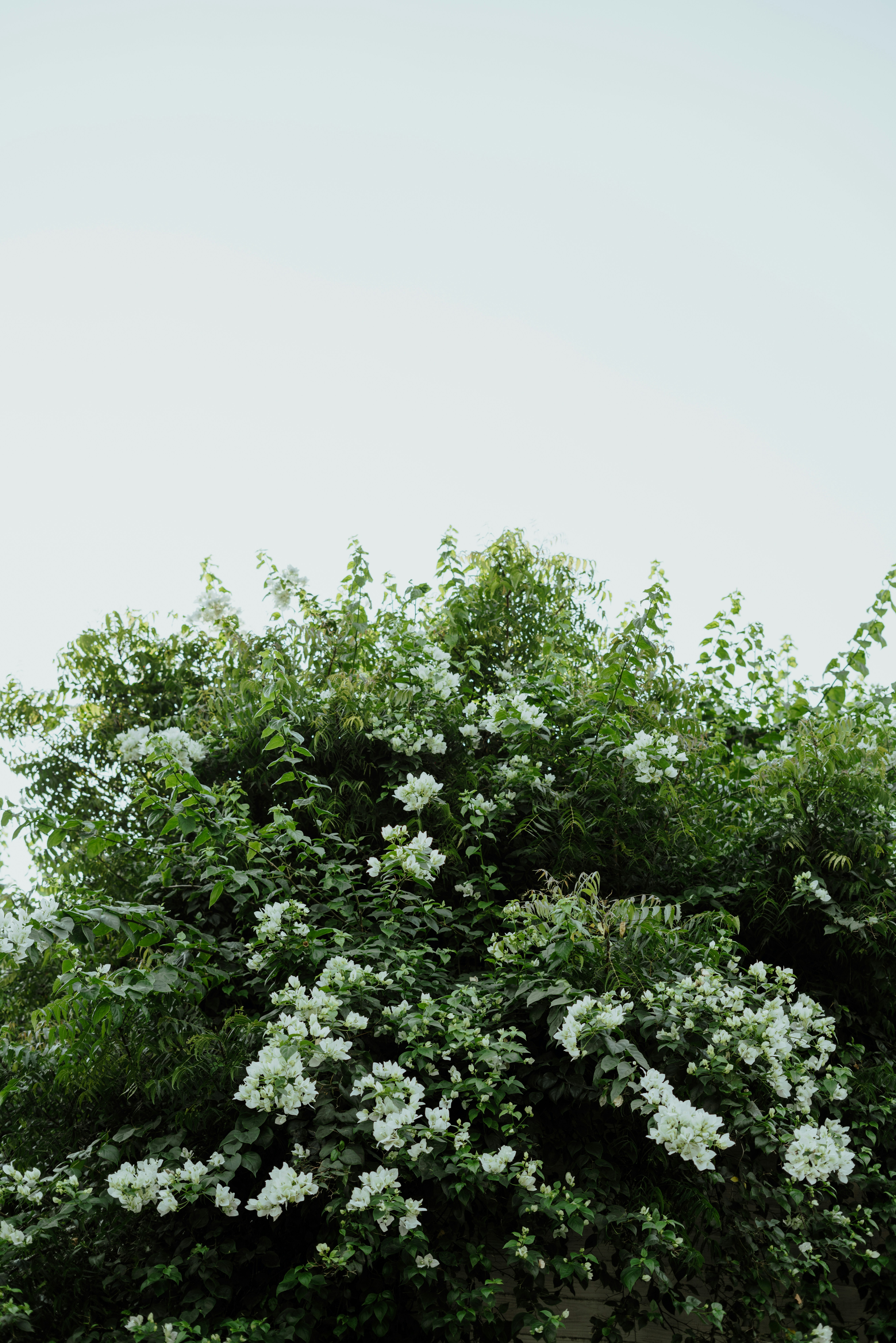 Photo by viditgoswami