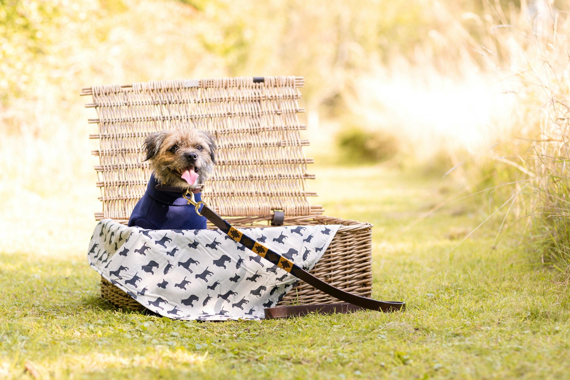 a dog sitting in a basket with an umbrella