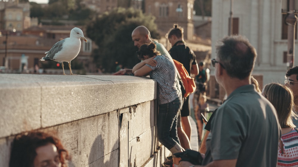 a seagull sitting on a wall next to a group of people
