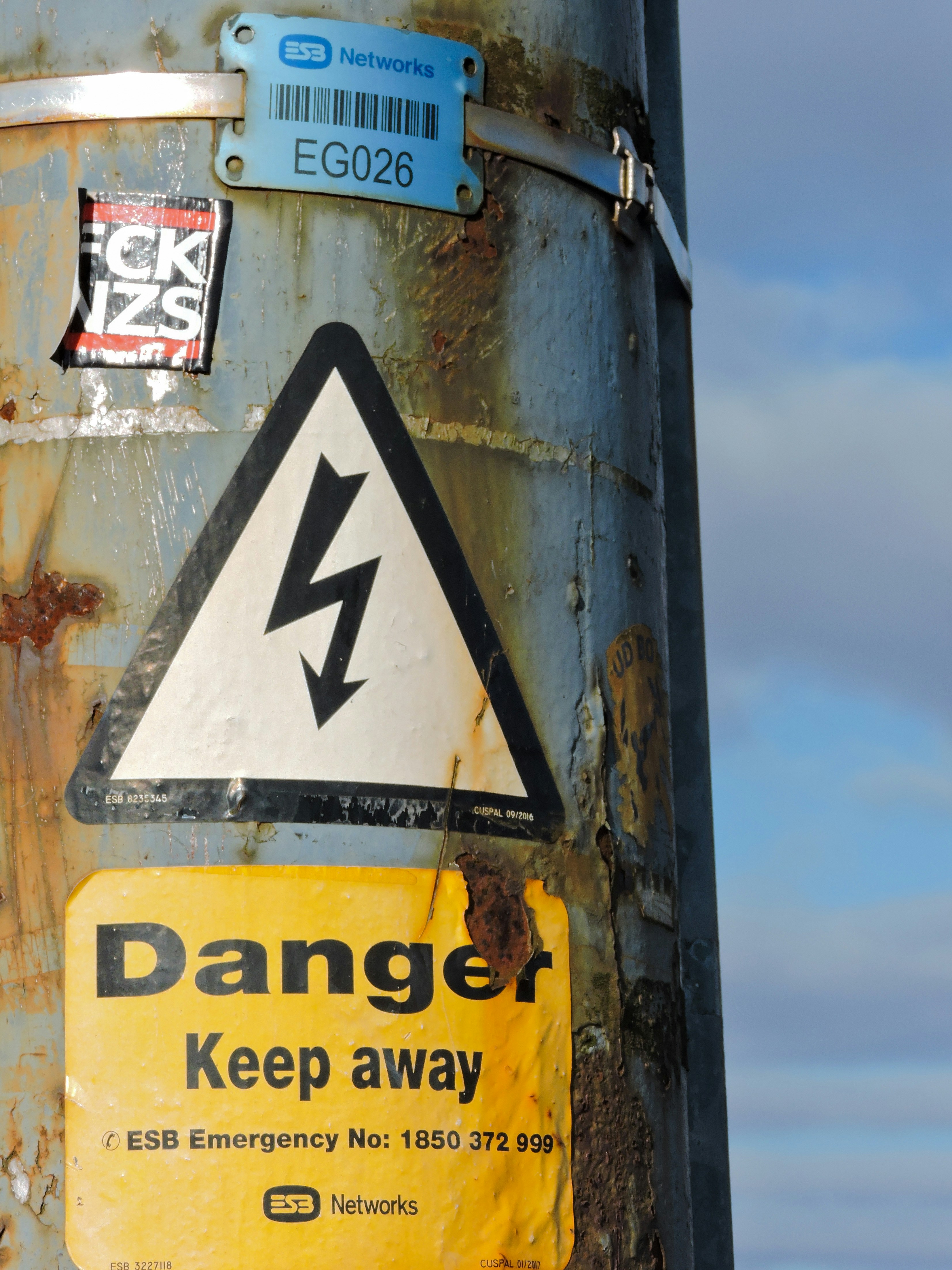 Photo by carlotta_dcb