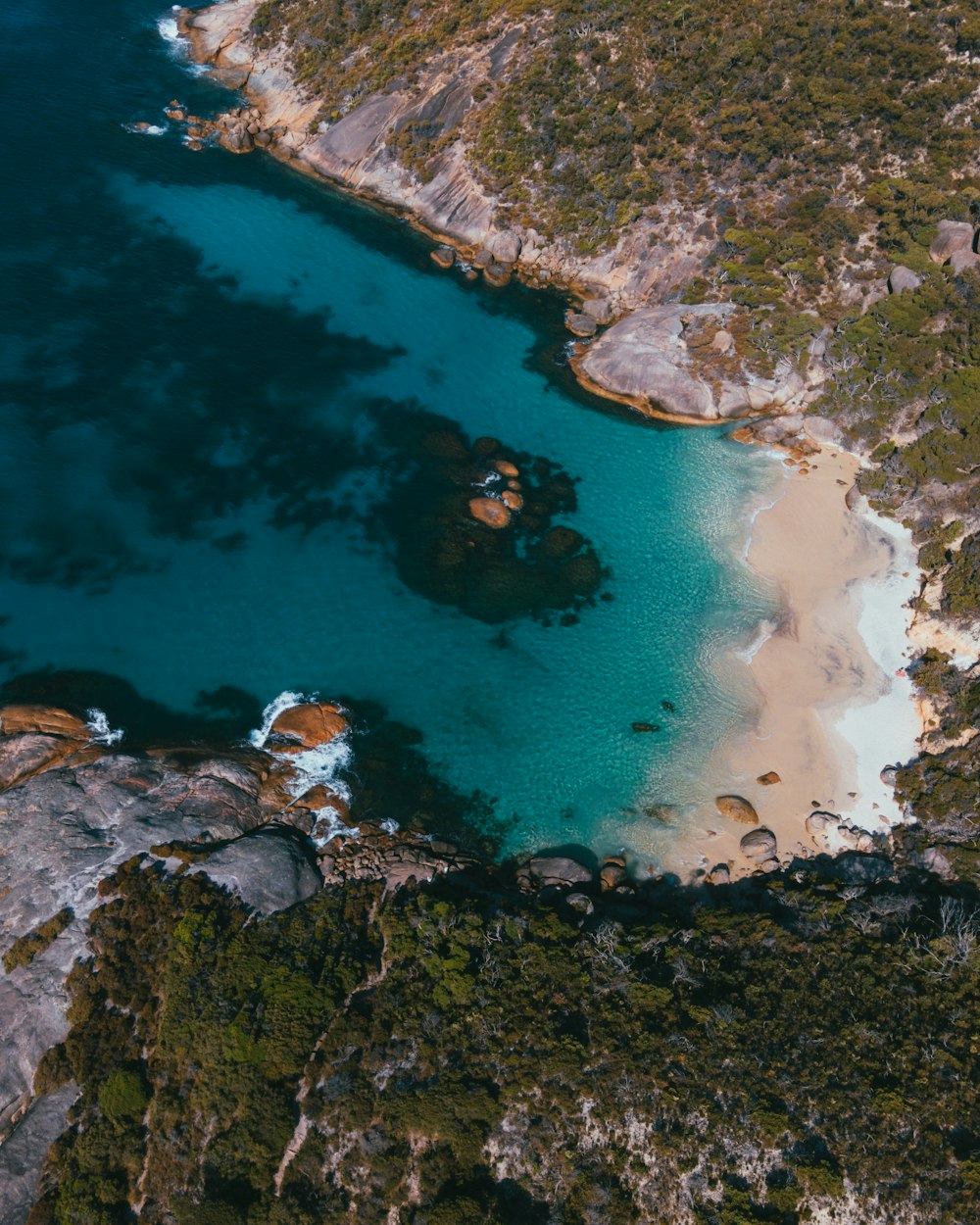 an aerial view of a body of water surrounded by trees