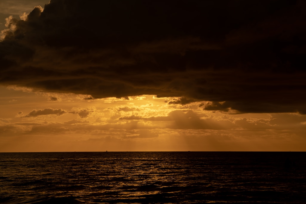 Where the Sea Begins
