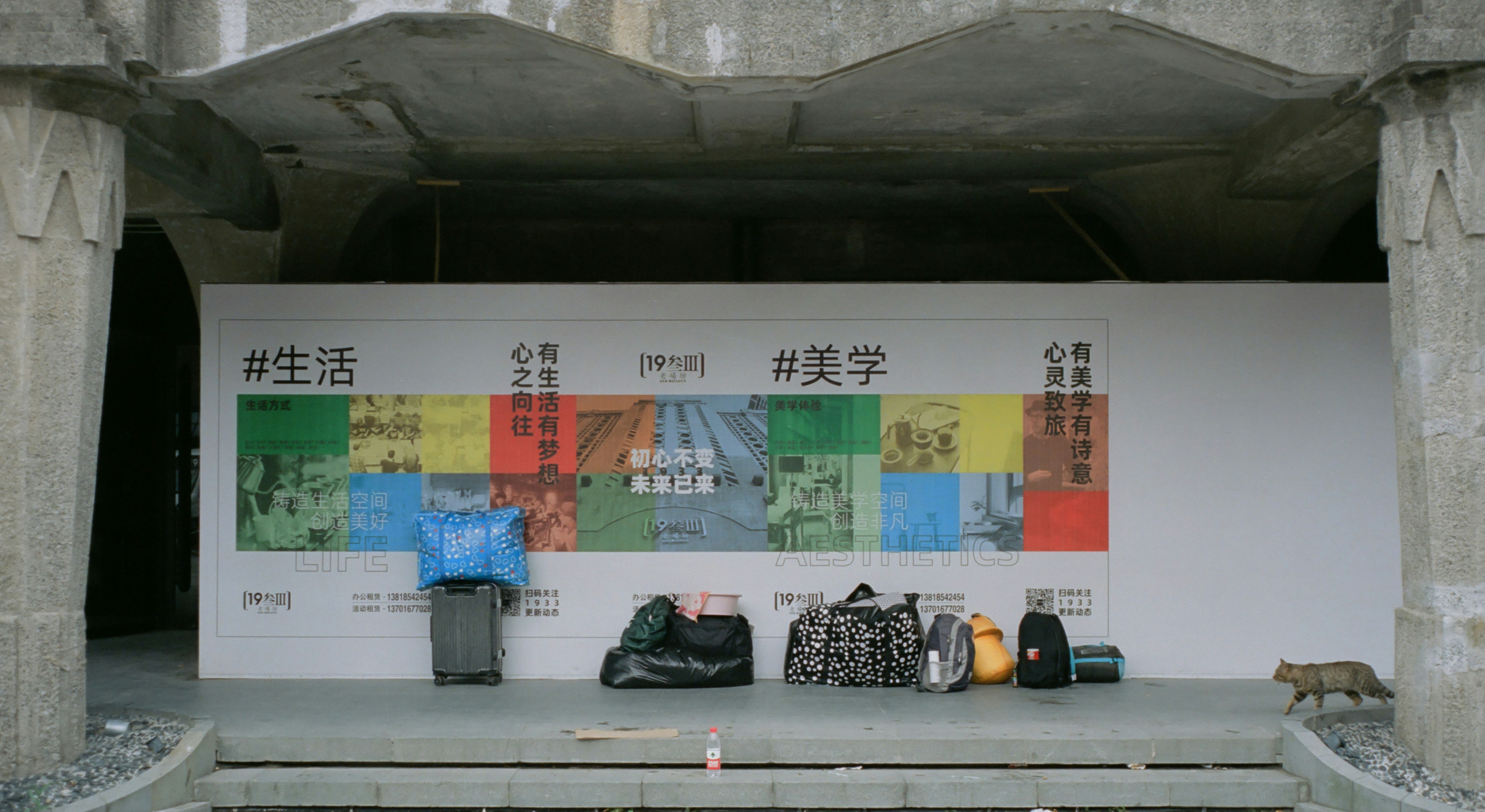 Country Chic Graphic Tees