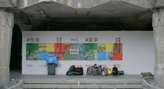 A concrete structure with arches frames a wall displaying a colorful graphic design featuring various segmented images and text in Chinese, alongside English words like 'LIFE' and 'AESTHETICS'. Several bags, including a polka-dotted duffel and a suitcase, are lined up in front of the wall. A cat is strolling along the edge of the platform.