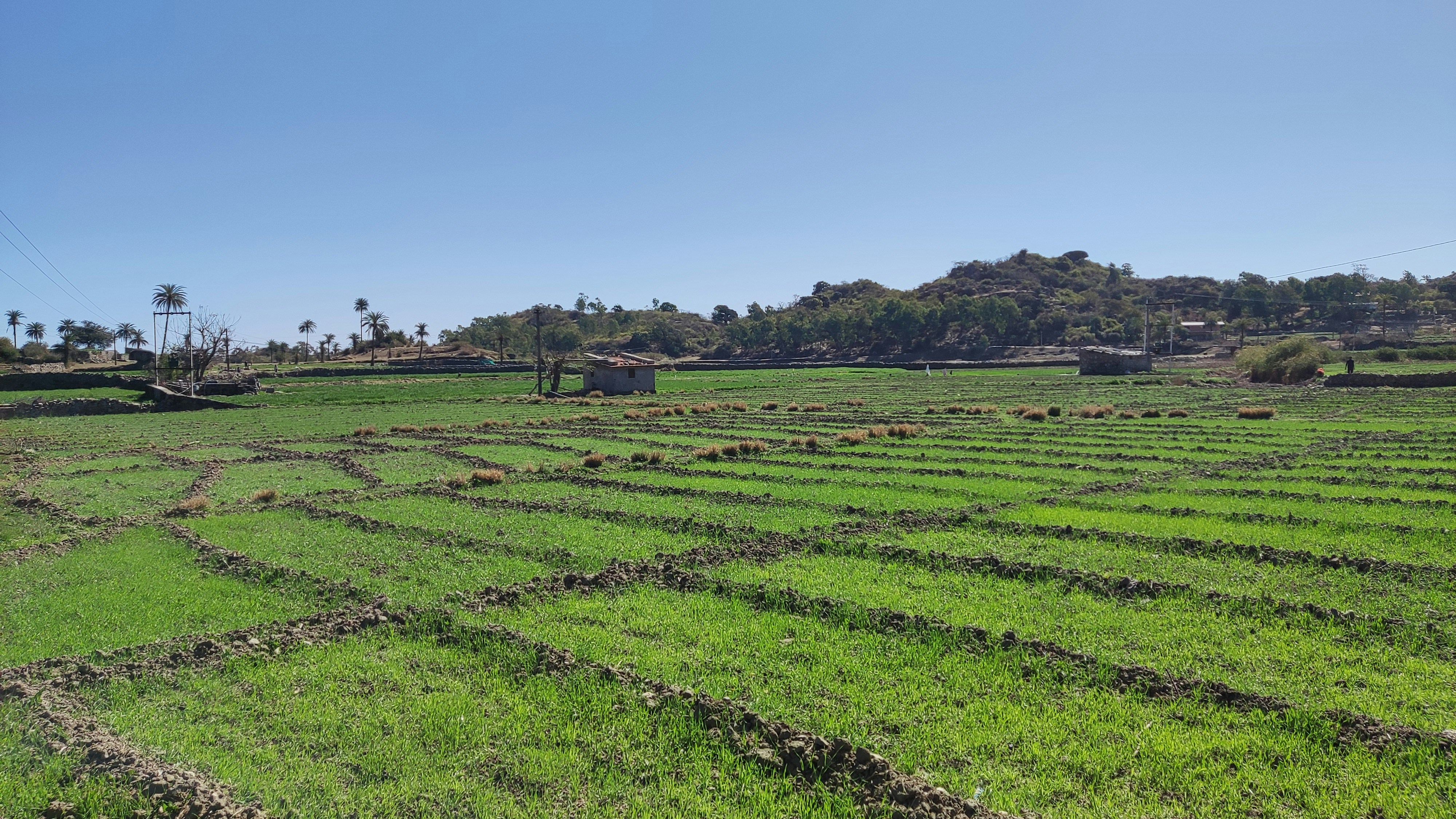 Photo by opacaro_phile