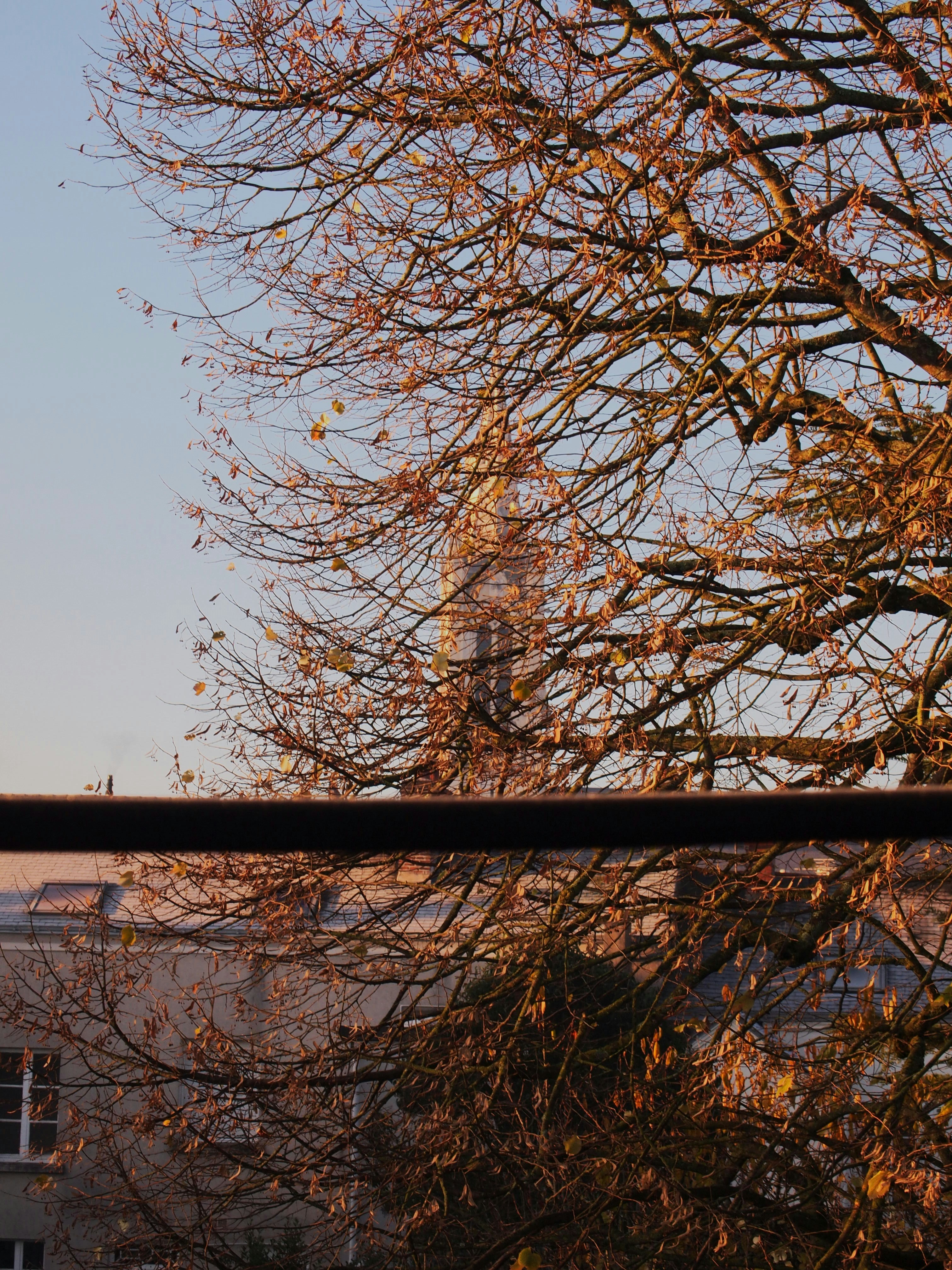 Containers in Branch, AR