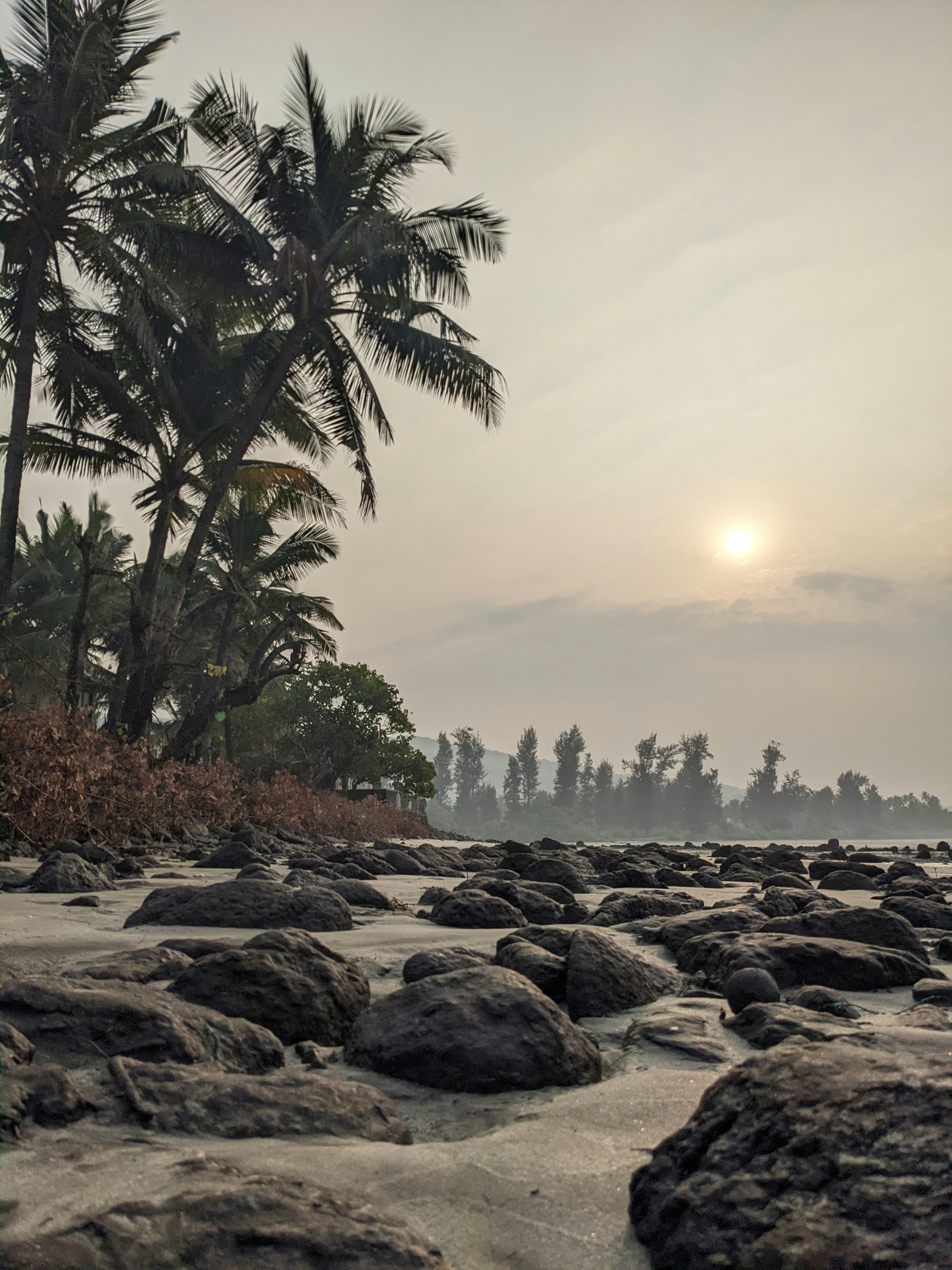 Photo by shubhamnikam