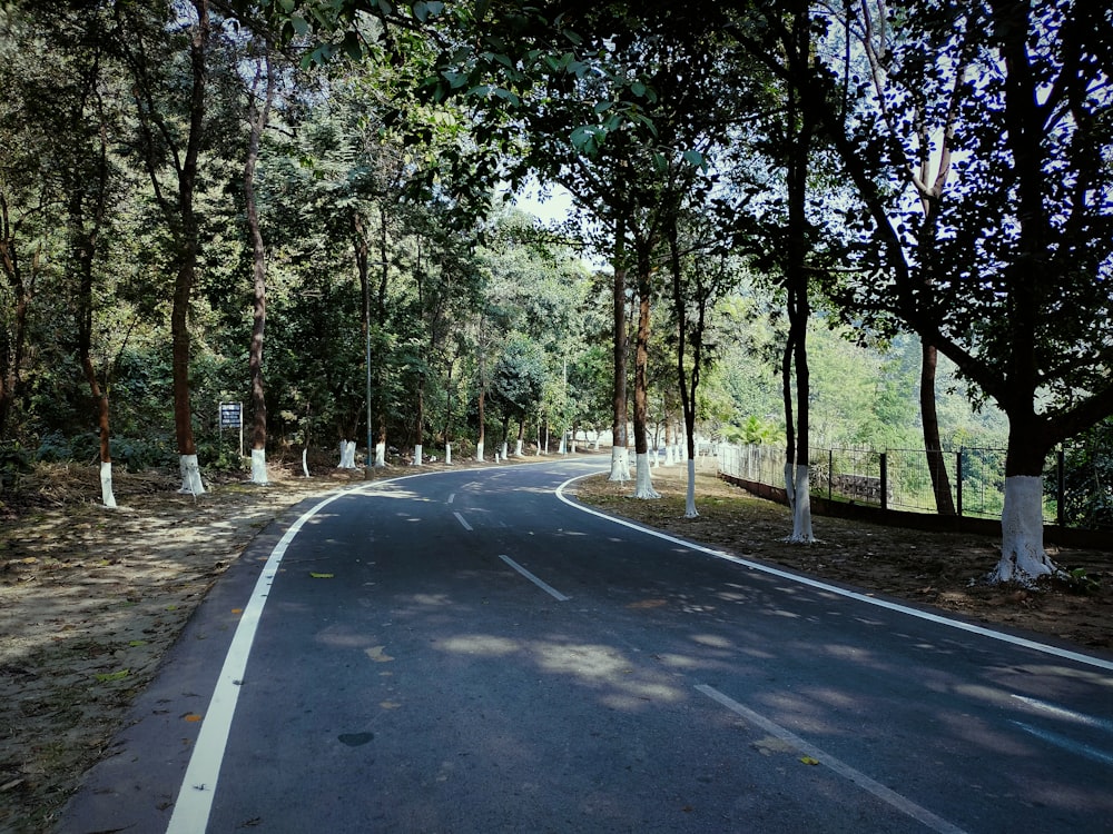 an empty road surrounded by trees on both sides