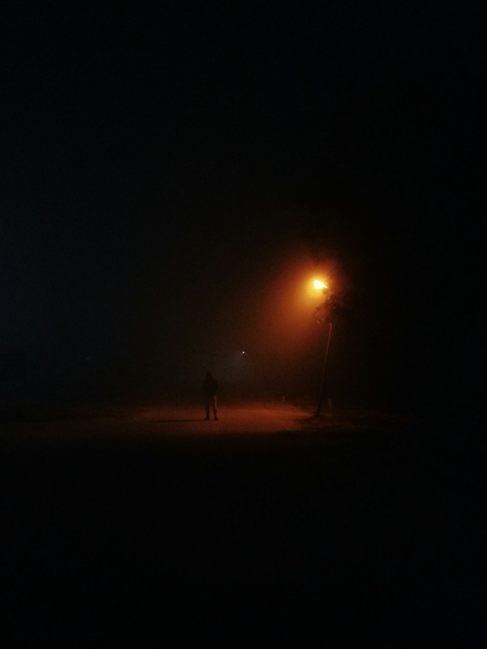 a person standing under a street light at night