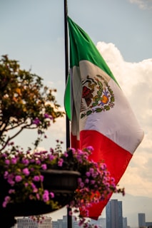 A large Mexican flag is prominently displayed against a backdrop of a partly cloudy sky. The flag's colors of green, white, and red are vivid, with the national emblem visible in the center. In the foreground, a planter with lush purple flowers is slightly out of focus. In the background, a city skyline with modern buildings can be seen.