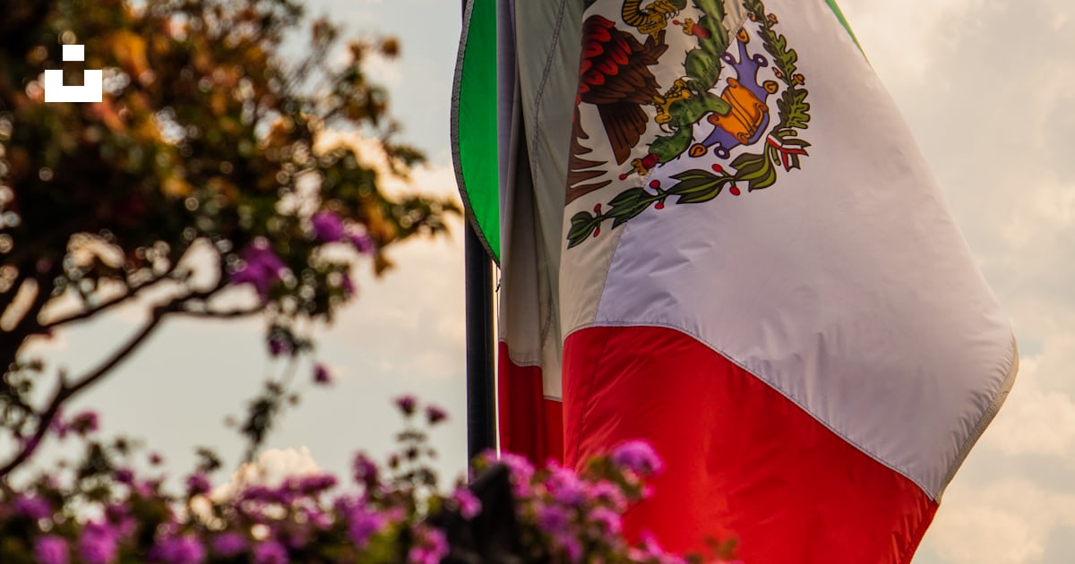 Flag Of Mexico Blowing In The Wind Stock Photo - Download Image Now - Mexican Flag, Backgrounds, Banner - Sign - IStock - Foto 3