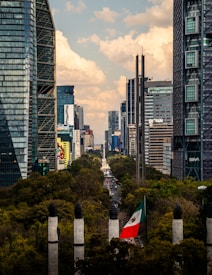 a view of a city with tall buildings and a flag in the foreground