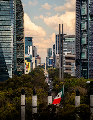 a view of a city with tall buildings and a flag in the foreground