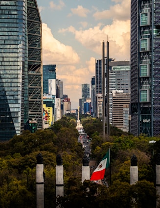 a view of a city with tall buildings and a flag in the foreground