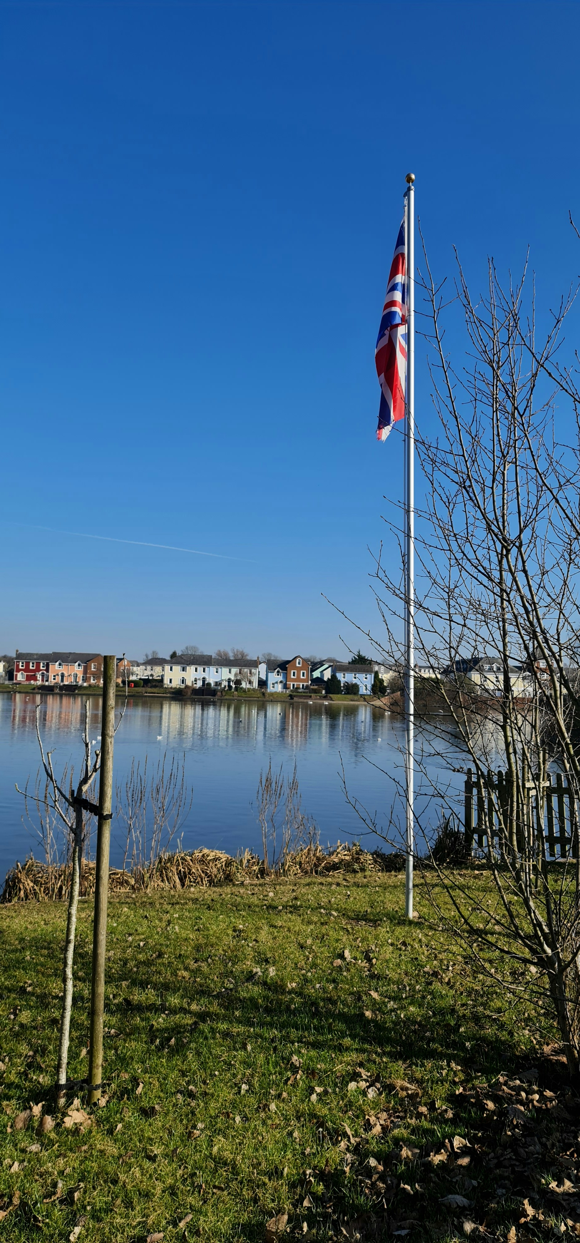 Containers in Flag Pond, TN