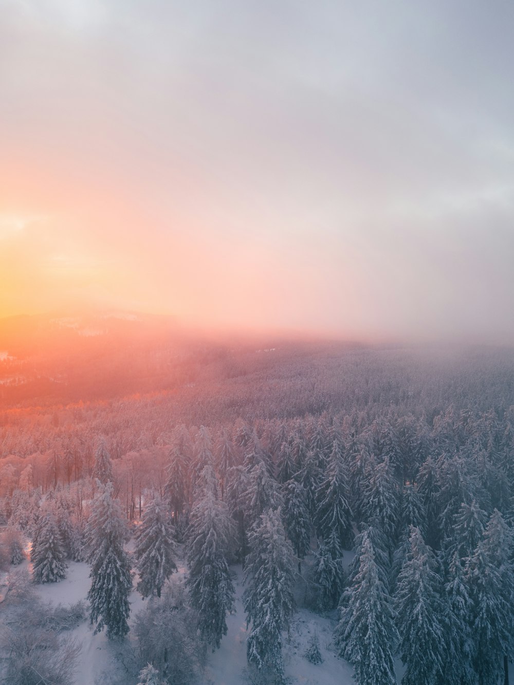 the sun is setting over a snowy forest