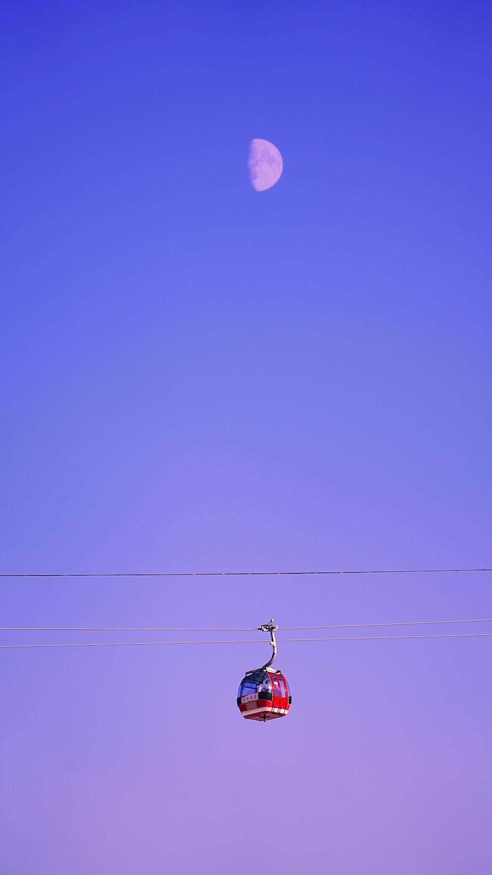 a bird sitting on top of a red and blue balloon