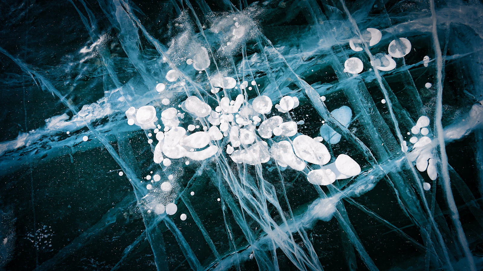 哈尔滨 Harbin ice and snow tour